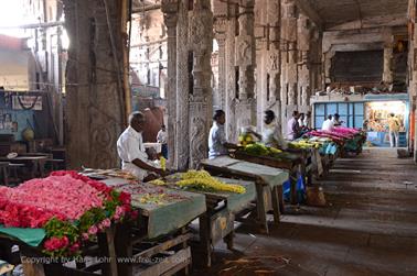 Meenakshi Temple, Madurai,_DSC_8168_H600